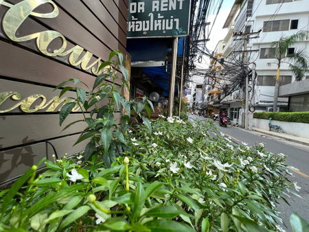 Collection O Thaiphiphat House Silom, Bangkok, Thailand