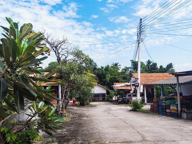 Haidaily, Chom Thong, Thailand