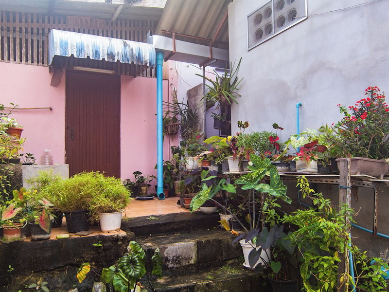 Haidaily, Chom Thong, Thailand