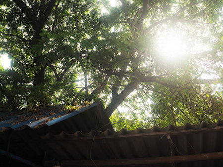 Haidaily, Chom Thong, Thailand