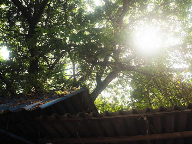 Haidaily, Chom Thong, Thailand