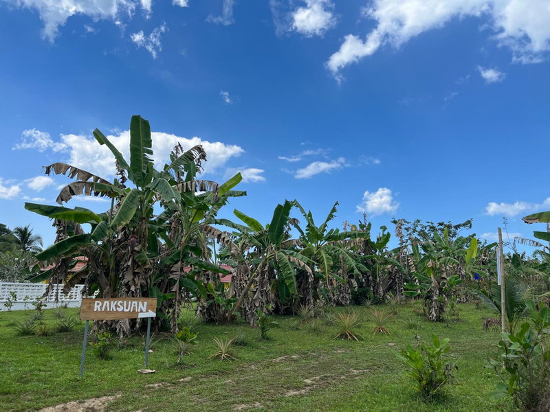 Rak Suan Homestay, Khao Lak, Thailand