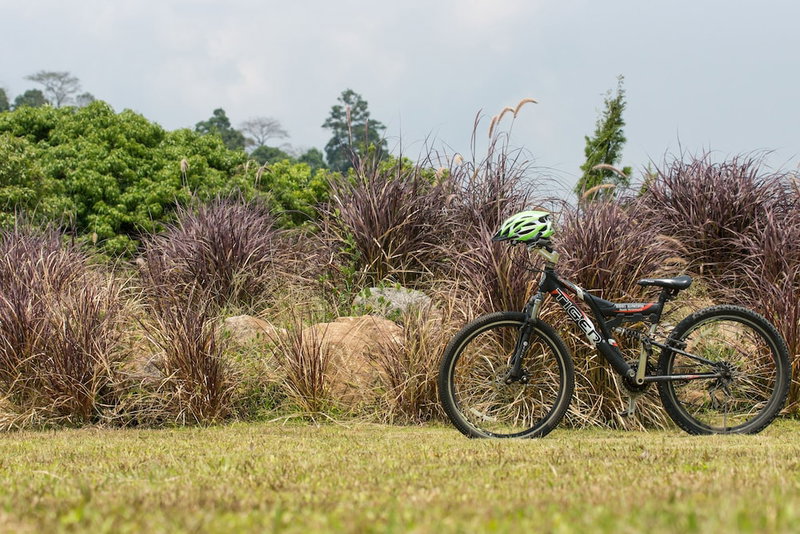 The Natural Garden - Khao Soi Dao -, Pong Nam Ron, Thailand