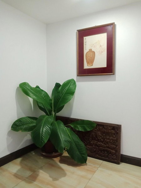 A Lanna Boutique House, Chiang Mai, Thailand