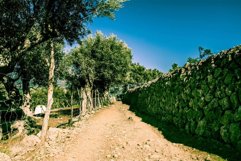 Hostel Sóller, Sóller, Spain