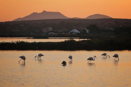 Hotel Isla de Cabrera, Colonia Sant Jordi, Spain