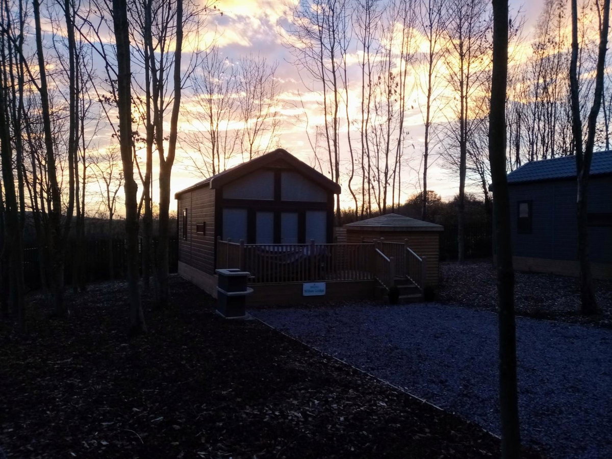 Riddings Wood lodges, United Kingdom