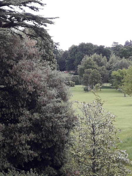 Havisham House, Woburn, United Kingdom