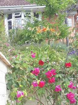 Santi Bhavana Bed & Breakfast, Westbury, United Kingdom