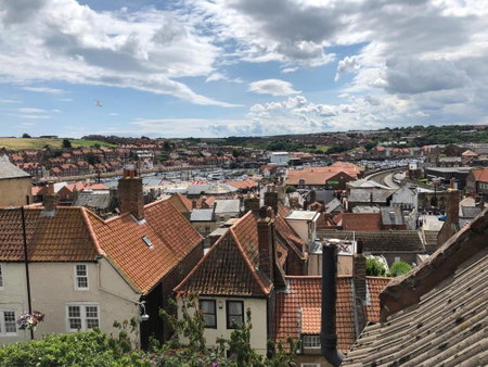 The Little Angel, Whitby, United Kingdom