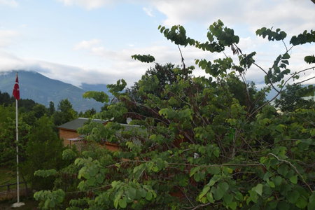 Mars Otel, Artvin, Turkey