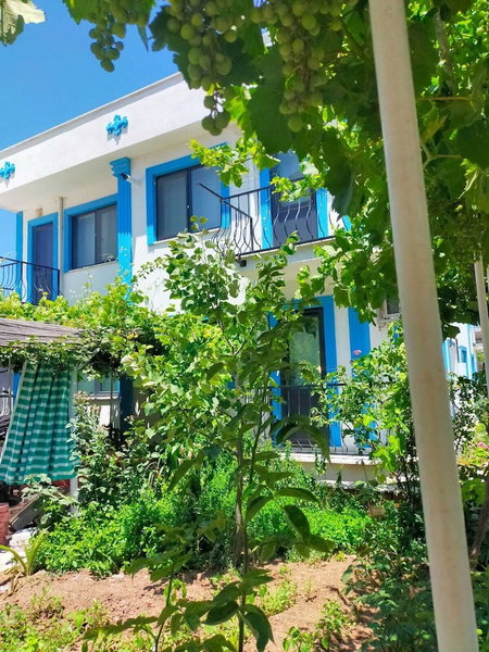 Zeytin Cicegi Pansiyon, Ezine, Turkey