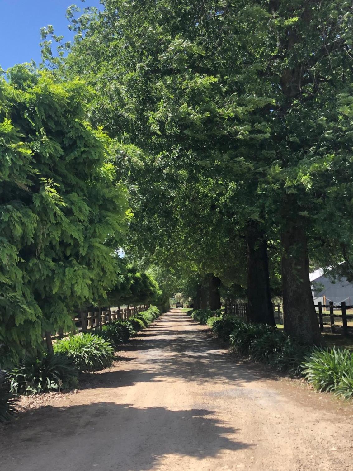 Hotel · Oak Lane Guest House & Farm Stay, Whorouly