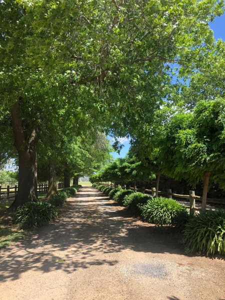 Oak Lane Guest House & Farm Stay, Whorouly, Australia