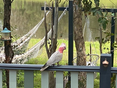 A place to be, Kurmond, Australia