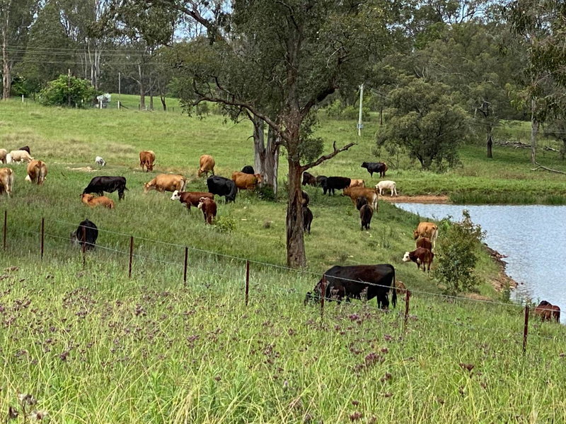 A place to be, Kurmond, Australia