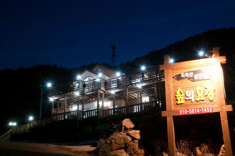 Gurye Jirisan A Wood Nymph Pension, Gurye, South Korea