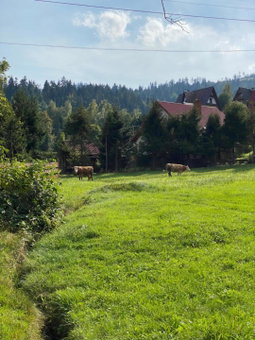 Agroturystyka u Beaty Dom I, Korbielów, Poland