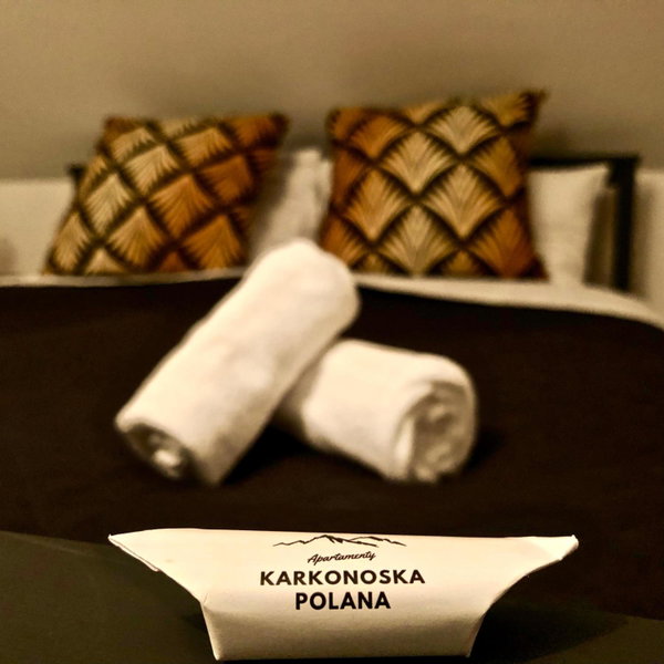 Apartamenty Karkonoska Polana, Staniszów, Poland