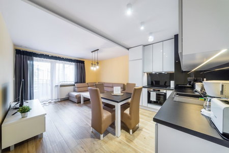 Apartament Rakowicka 14 Deluxe Old Town WAWELOFTS, Kraków, Poland