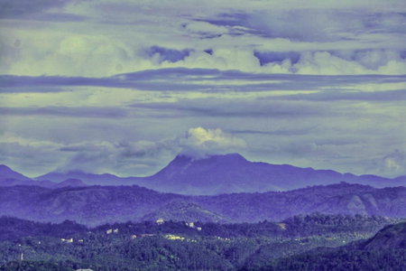 Wild Mist Homestay, Munnar, India