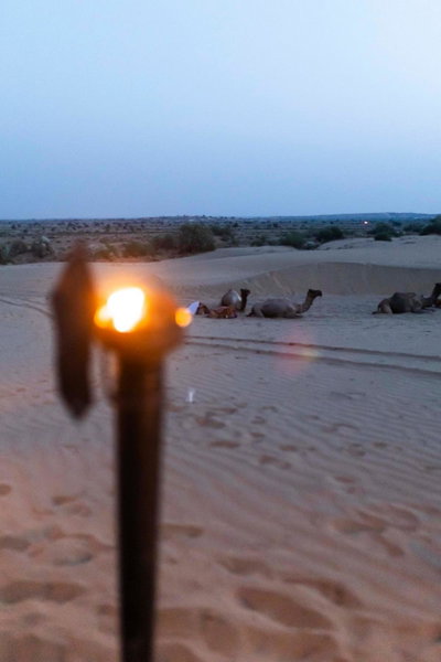 Nomads heaven desert camp jaisalmer, Jaisalmer, India