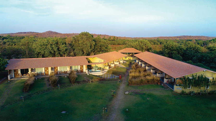 Asiatic Lion Lodge, Sasan Gir, India