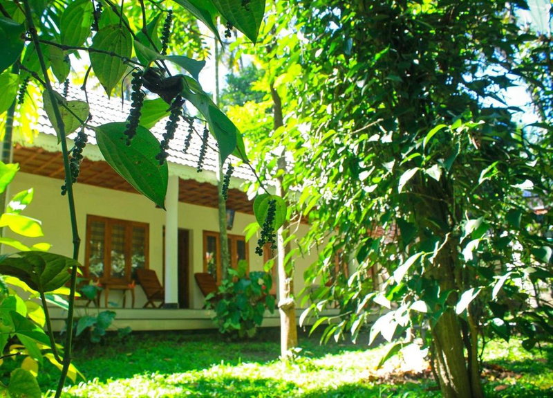 Green Court Cottages, Thekkady, India