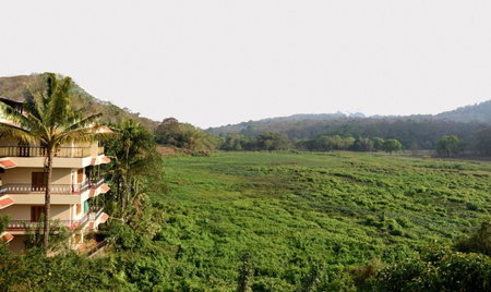 Jungle Palace Homestay, Thekkady, India