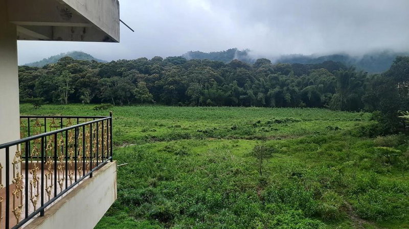Jungle Palace Homestay, Thekkady, India