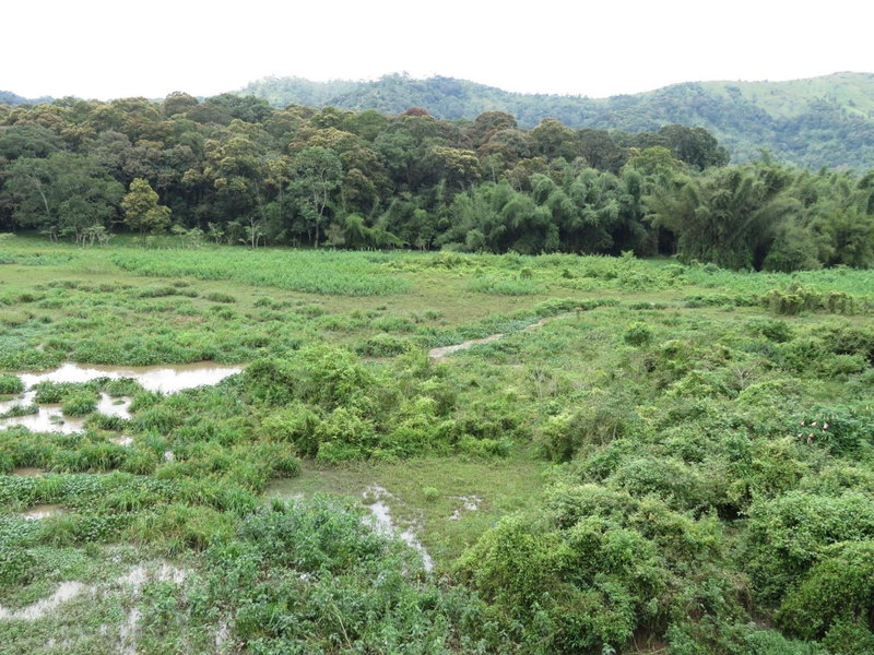 Jungle Palace Homestay, Thekkady, India