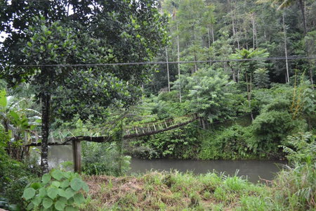 Ferndale Homestay, Thekkady, India