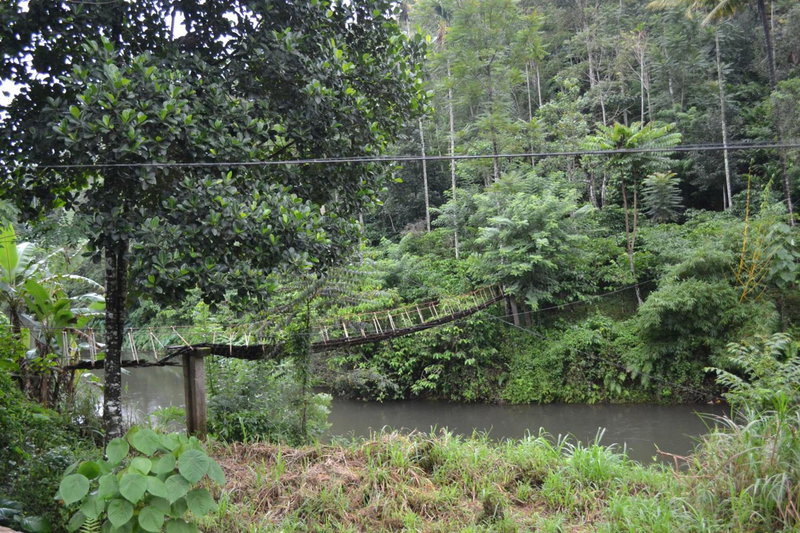 Ferndale Homestay, Thekkady, India