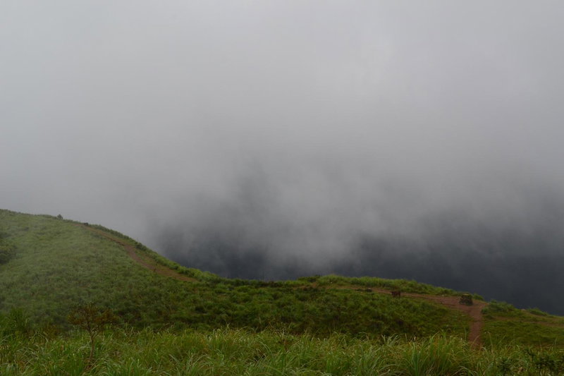 Ferndale Homestay, Thekkady, India