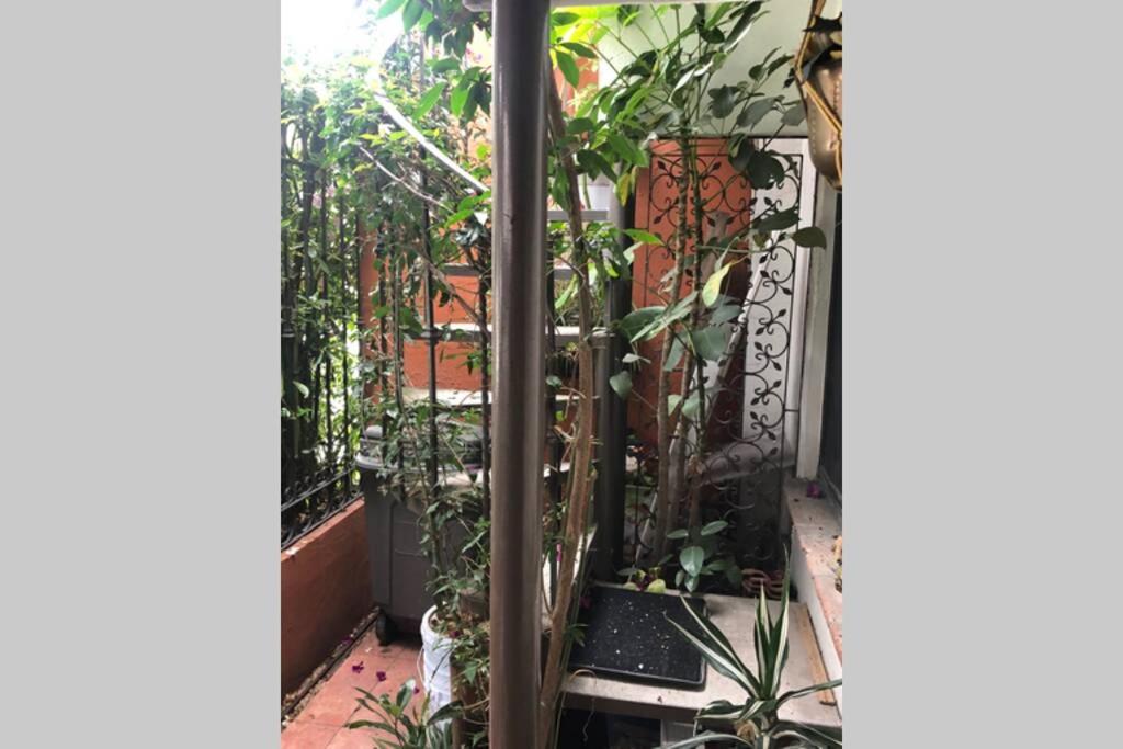 Amplia Habitación tipo Ejecutiva con baño y acceso privados, Mexico