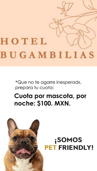 Hotel Bugambilias, Oaxaca City, Mexico