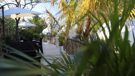Glamping Tulum with private mini pool, Tulum, Mexico