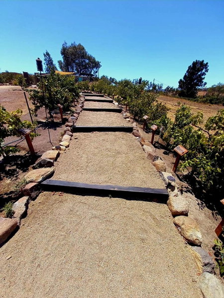 Finca Vidandrei CASA EUCALIPTO, Valle de Guadalupe, Mexico