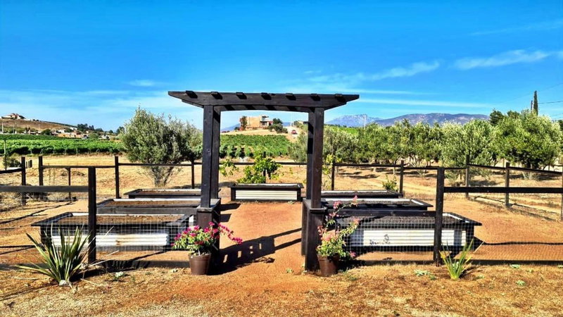 Finca Vidandrei CASA EUCALIPTO, Valle de Guadalupe, Mexico