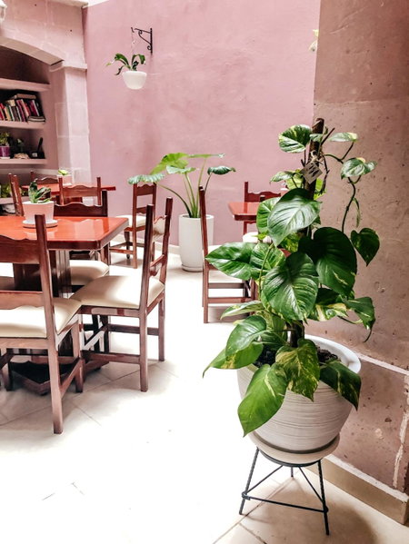 Cuartel 1914 - Hotel Boutique, Zacatecas, Mexico