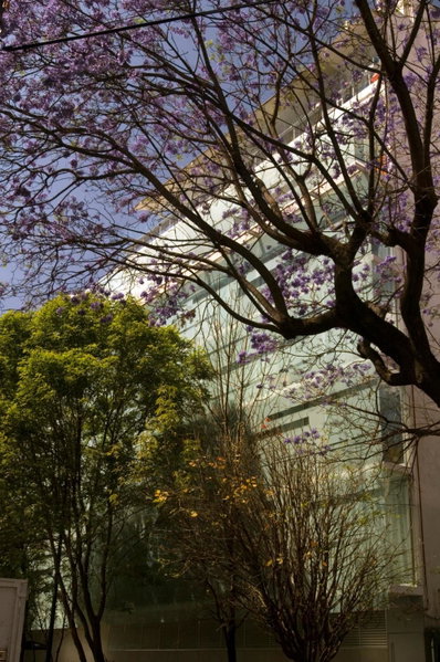 Habita, Mexico City, a Member of Design Hotels, Mexico City, Mexico