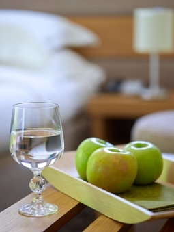 Pilion Terra Hotel, Portariá, Greece