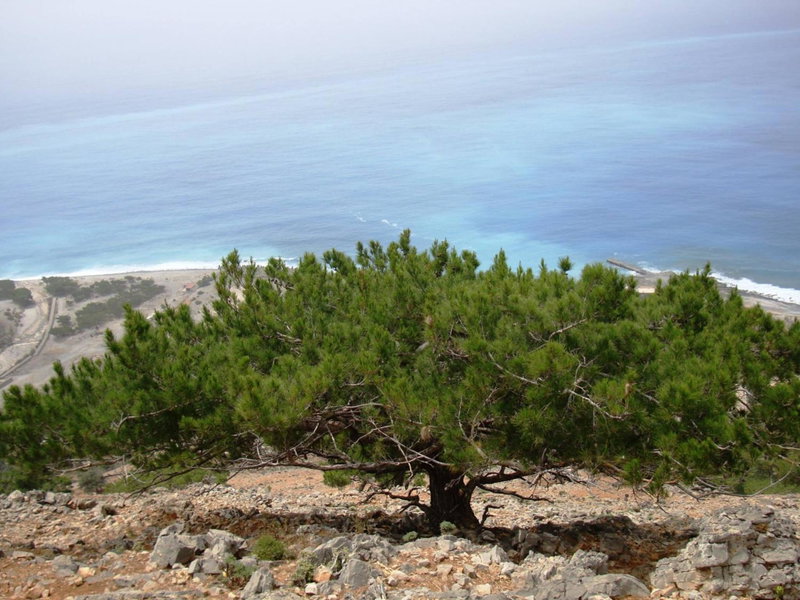 Artemis Studios, Agia Roumeli, Greece