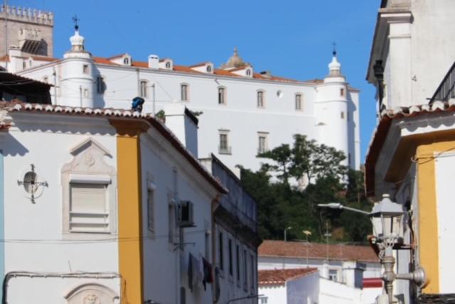 Residencial Miguel José, Estremoz, Portugal