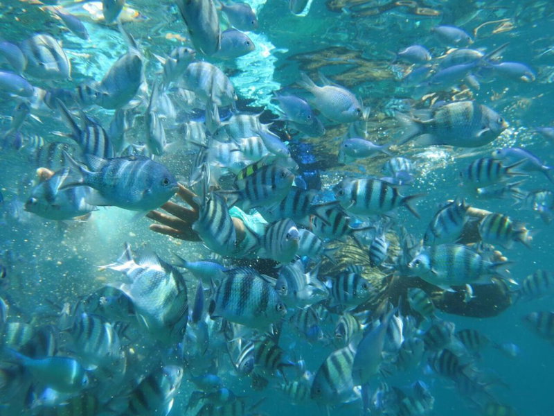 Kathy’s Place, Karimunjawa, Indonesia