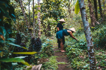 Bali Jungle Camping by Amerta Experience, Tabanan, Indonesia