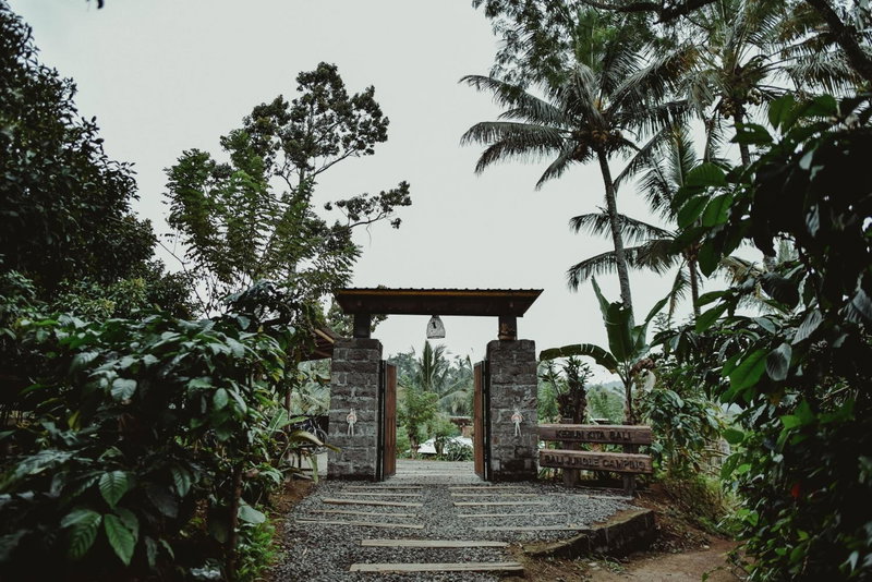 Bali Jungle Camping by Amerta Experience, Tabanan, Indonesia