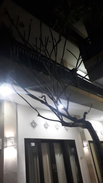 Adijaya homestay, Seminyak, Indonesia