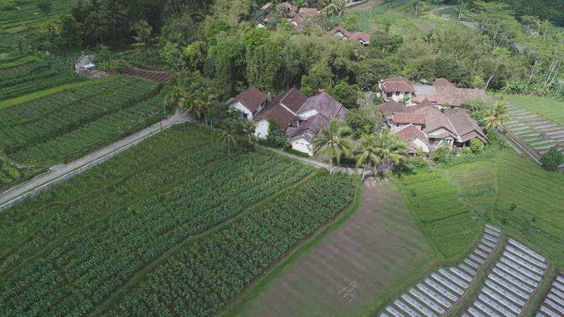 Griya Harja Homestay, Borobudur, Indonesia