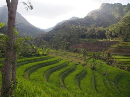 Griya Harja Homestay, Borobudur, Indonesia